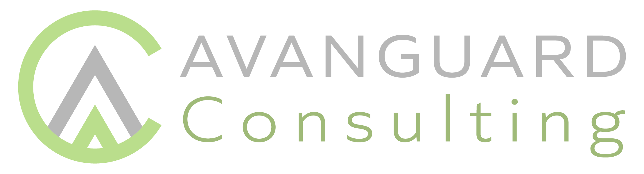 Avanguard Consulting